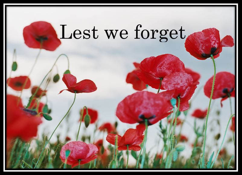 VTS - image of Remembrance Day graphic 2023